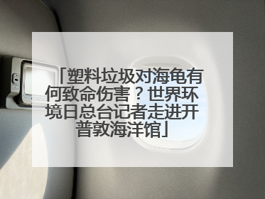 塑料垃圾对海龟有何致命伤害？世界环境日总台记者走进开普敦海洋馆