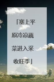 塞上平原冷凉蔬菜进入采收旺季