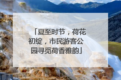 夏至时节，荷花初绽，市民游客公园寻觅荷香雅韵