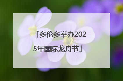 多伦多举办2025年国际龙舟节