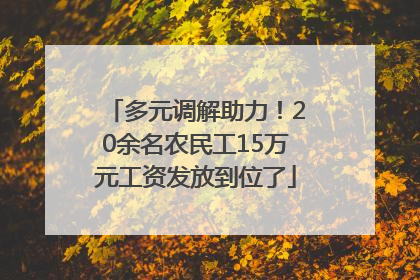 多元调解助力！20余名农民工15万元工资发放到位了