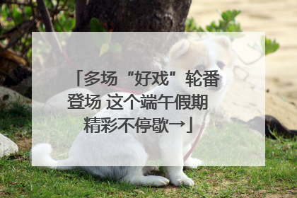 多场“好戏”轮番登场 这个端午假期精彩不停歇→
