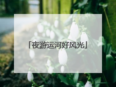 夜游运河好风光