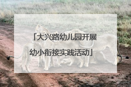 大兴路幼儿园开展幼小衔接实践活动