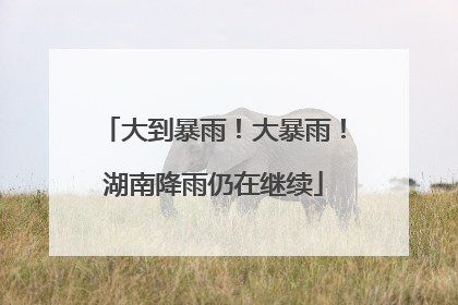 大到暴雨！大暴雨！湖南降雨仍在继续