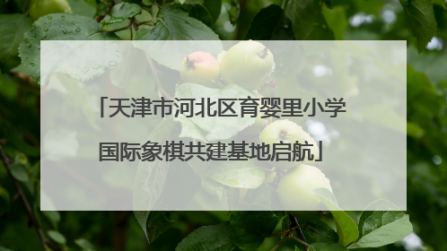 天津市河北区育婴里小学国际象棋共建基地启航