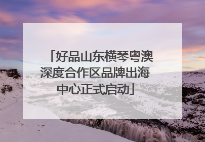好品山东横琴粤澳深度合作区品牌出海中心正式启动