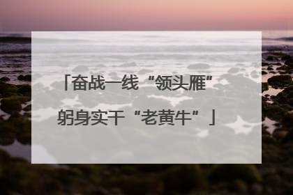 奋战一线“领头雁” 躬身实干“老黄牛”