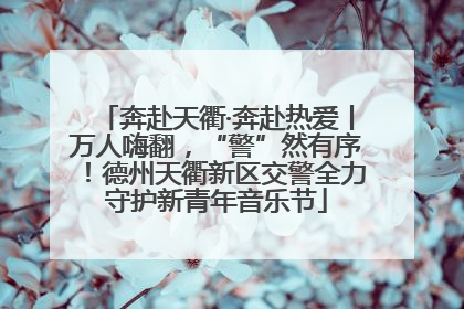 奔赴天衢·奔赴热爱丨万人嗨翻，“警”然有序！德州天衢新区交警全力守护新青年音乐节