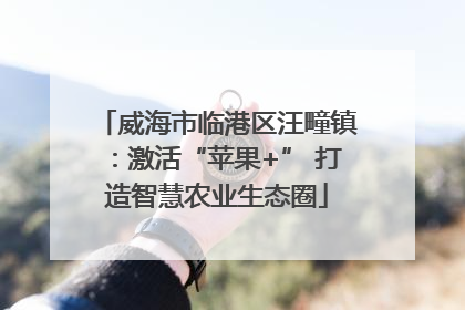 威海市临港区汪疃镇：激活“苹果+” 打造智慧农业生态圈