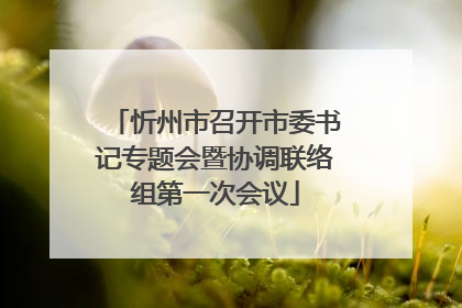 忻州市召开市委书记专题会暨协调联络组第一次会议