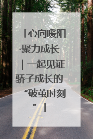 心向暖阳·聚力成长｜一起见证骄子成长的“破茧时刻”