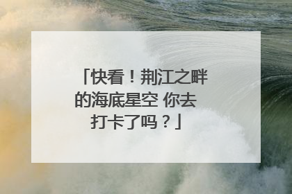 快看!荆江之畔的海底星空 你去打卡了吗?