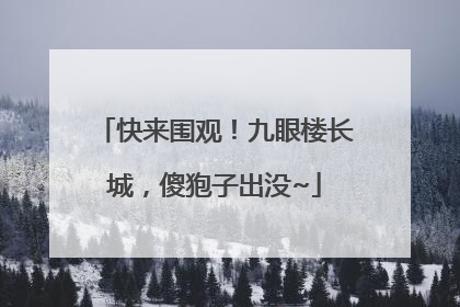 快来围观！九眼楼长城，傻狍子出没~