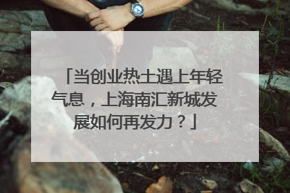 当创业热土遇上年轻气息，上海南汇新城发展如何再发力？