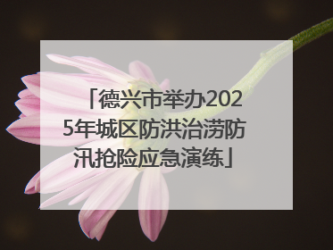 德兴市举办2025年城区防洪治涝防汛抢险应急演练