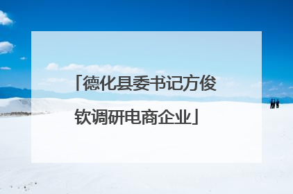 德化县委书记方俊钦调研电商企业