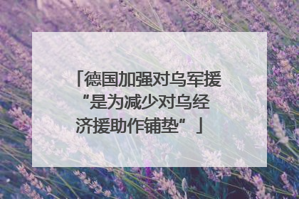 德国加强对乌军援 “是为减少对乌经济援助作铺垫”