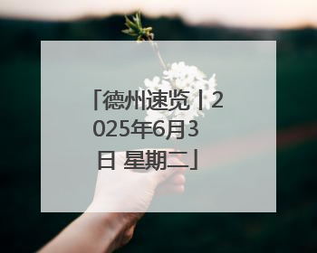 德州速览丨2025年6月3日 星期二
