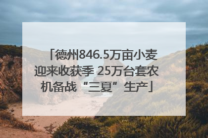 德州846.5万亩小麦迎来收获季 25万台套农机备战“三夏”生产