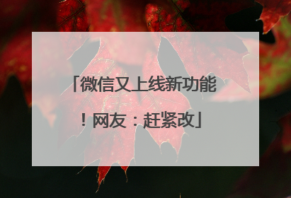微信又上线新功能！网友：赶紧改