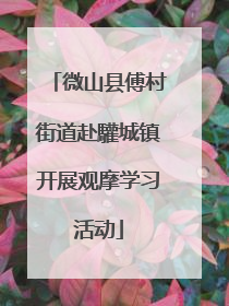 微山县傅村街道赴驩城镇开展观摩学习活动