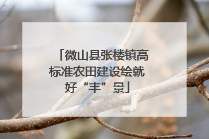微山县张楼镇高标准农田建设绘就好“丰”景
