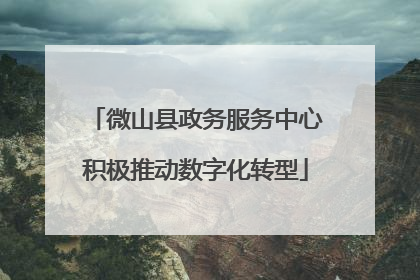微山县政务服务中心积极推动数字化转型