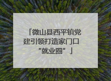 微山县西平镇党建引领打造家门口“就业圈”