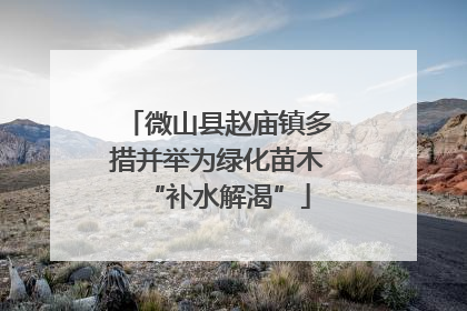微山县赵庙镇多措并举为绿化苗木“补水解渴”