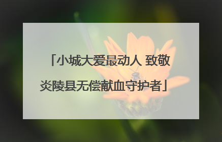 小城大爱最动人 致敬炎陵县无偿献血守护者