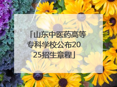 山东中医药高等专科学校公布2025招生章程