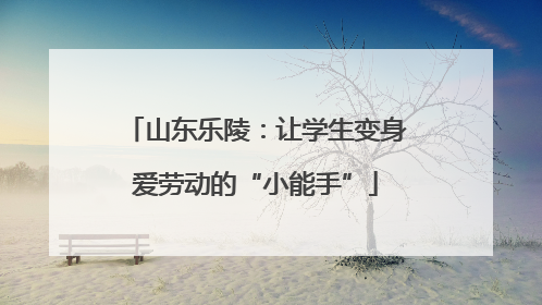 山东乐陵：让学生变身爱劳动的“小能手”