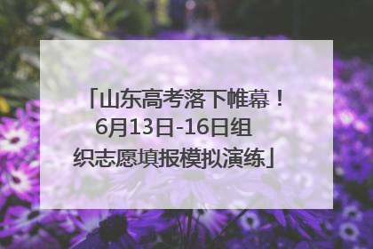 山东高考落下帷幕！6月13日-16日组织志愿填报模拟演练