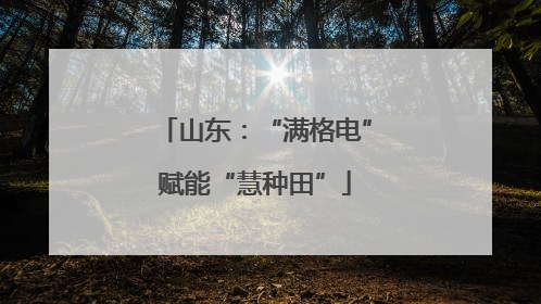 山东：“满格电”赋能“慧种田”