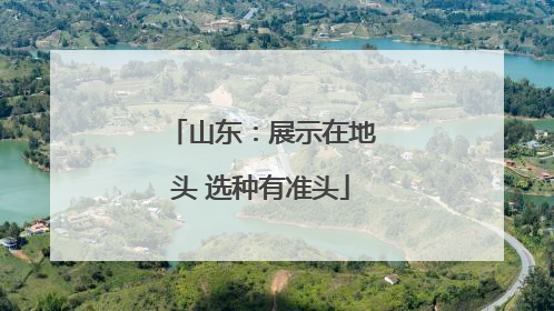 山东：展示在地头 选种有准头
