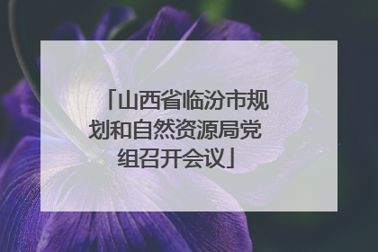 山西省临汾市规划和自然资源局党组召开会议
