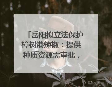 岳阳拟立法保护樟树港辣椒：提供种质资源需审批，违规最高罚5万