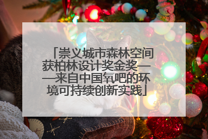 崇义城市森林空间获柏林设计奖金奖——来自中国氧吧的环境可持续创新实践