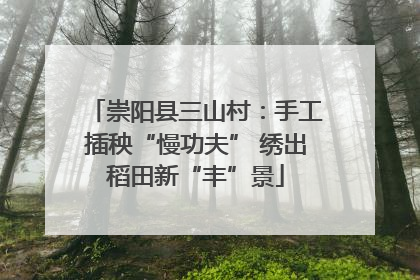 崇阳县三山村：手工插秧“慢功夫” 绣出稻田新“丰”景