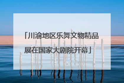 川渝地区乐舞文物精品展在国家大剧院开幕