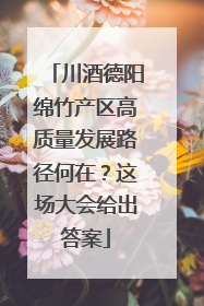 川酒德阳绵竹产区高质量发展路径何在？这场大会给出答案