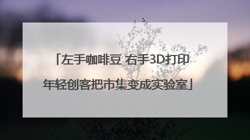 左手咖啡豆 右手3D打印 年轻创客把市集变成实验室