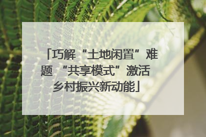 巧解“土地闲置”难题 “共享模式”激活乡村振兴新动能