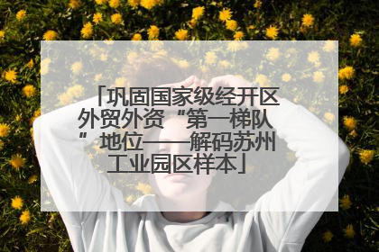 巩固国家级经开区外贸外资“第一梯队”地位——解码苏州工业园区样本