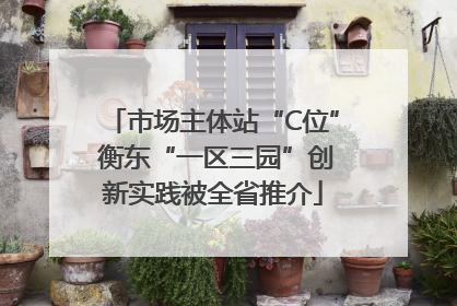 市场主体站“C位” 衡东“一区三园”创新实践被全省推介