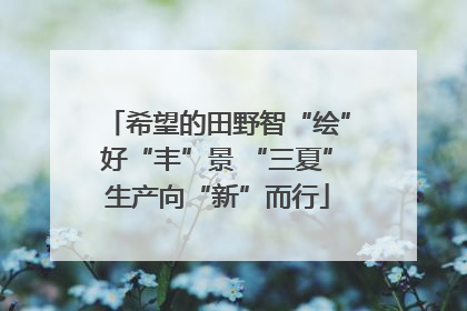 希望的田野智“绘”好“丰”景 “三夏”生产向“新”而行