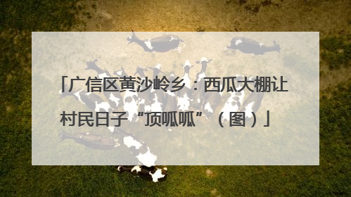 广信区黄沙岭乡：西瓜大棚让村民日子“顶呱呱”（图）