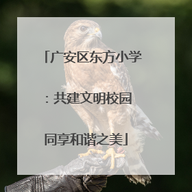 广安区东方小学：共建文明校园 同享和谐之美