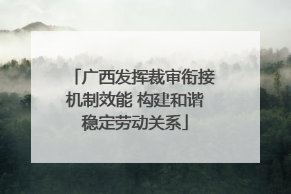 广西发挥裁审衔接机制效能 构建和谐稳定劳动关系